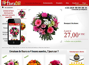 Miniature du site adaptatif floraclic.fr